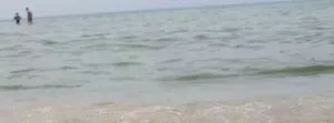 הדרך לעבור תהליכי שינוי
